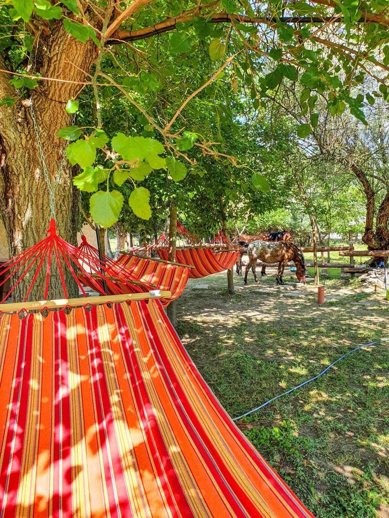 Forro Fogado & Bauer Bistro Hotel Roszke Екстериор снимка